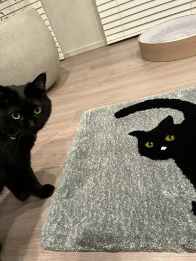 黒猫が振り向いているデザインのラグと、そのデザインのモデルになった本物の黒猫が並んでいる写真